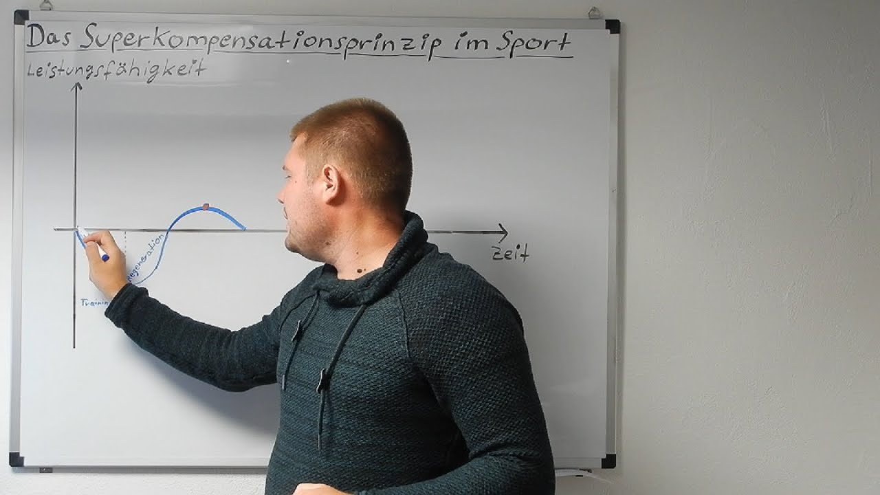 Das Superkompensationsprinzip im Sport - Trainingsprinzip - Trainingseffekt