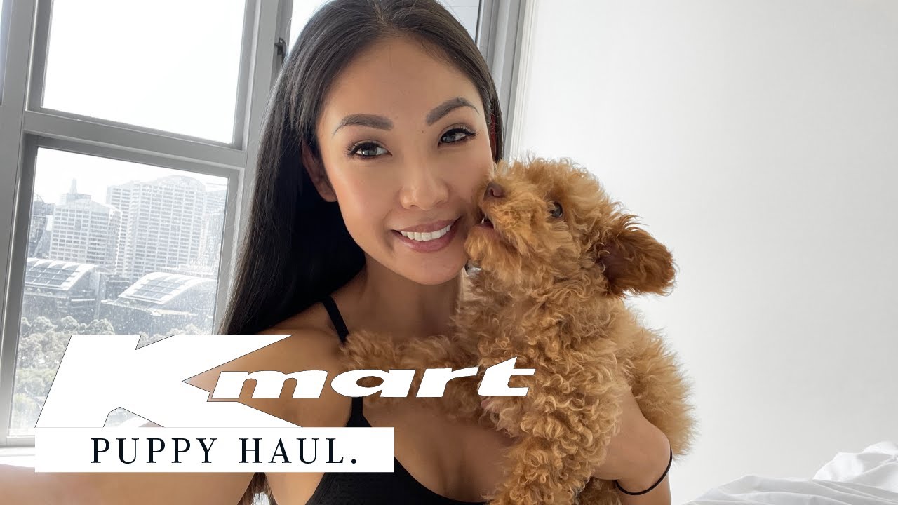 KMART PUPPY HAUL | Dog Haul | New In April 2021