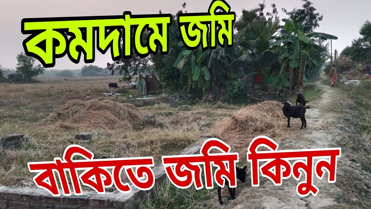 পিয়ালী স্টেশন থেকে মন থেকে দেড় কিলোমিটার কম দামে বাকিতে জমি কিনুন 
