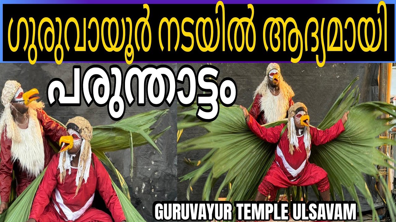 ഗുരുവായൂർ നടയിൽ ആദ്യമായി പരുന്താട്ടം    | GURUVAYUR ULSAVAN 2026 #viralvideo #trending 