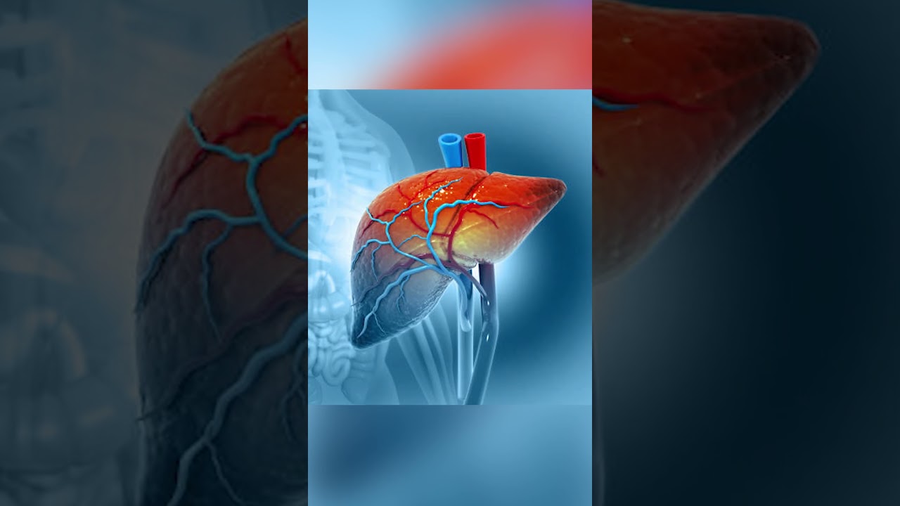 Bile Production and Composition