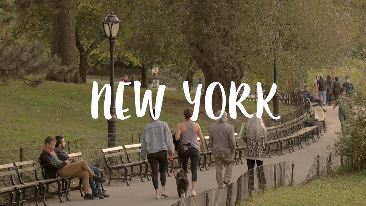 Living in New York VLOG / Autumn days in NY, Studying Japanese, New Family Member, Vegetarian Meals