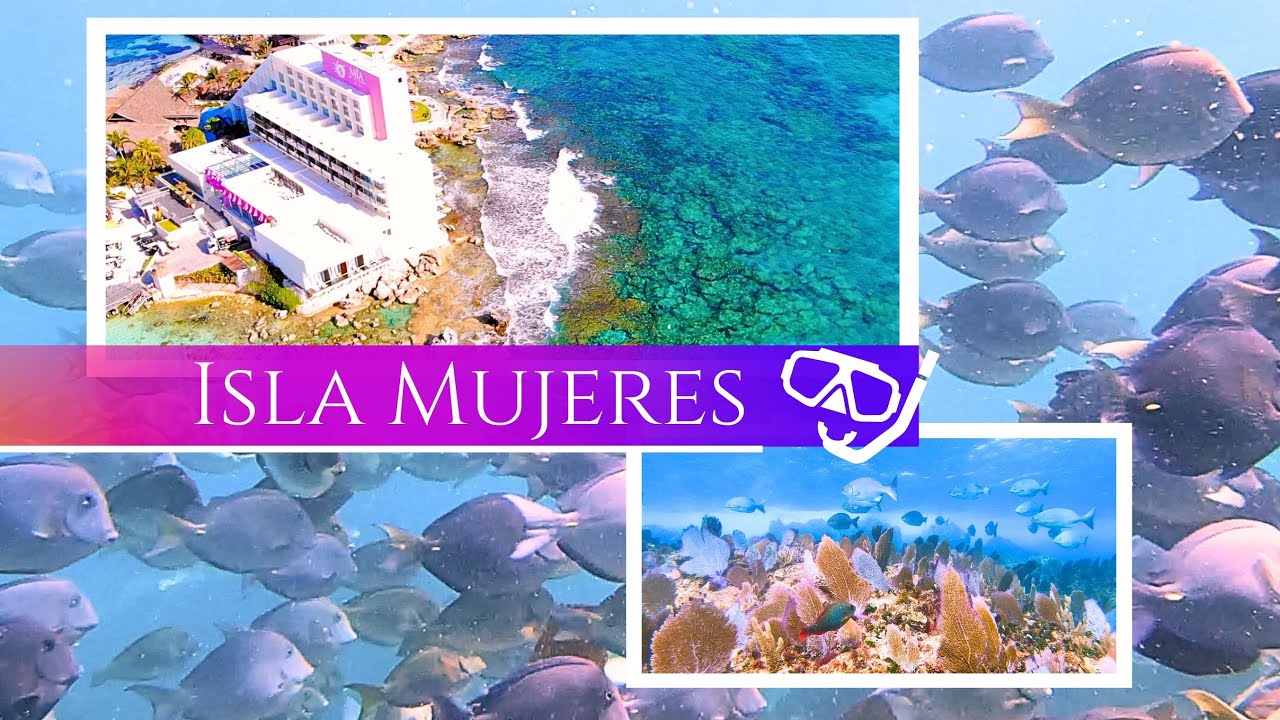 Snorkeling Diving Isla Mujeres, Mexico ! Exploring Mia Reef