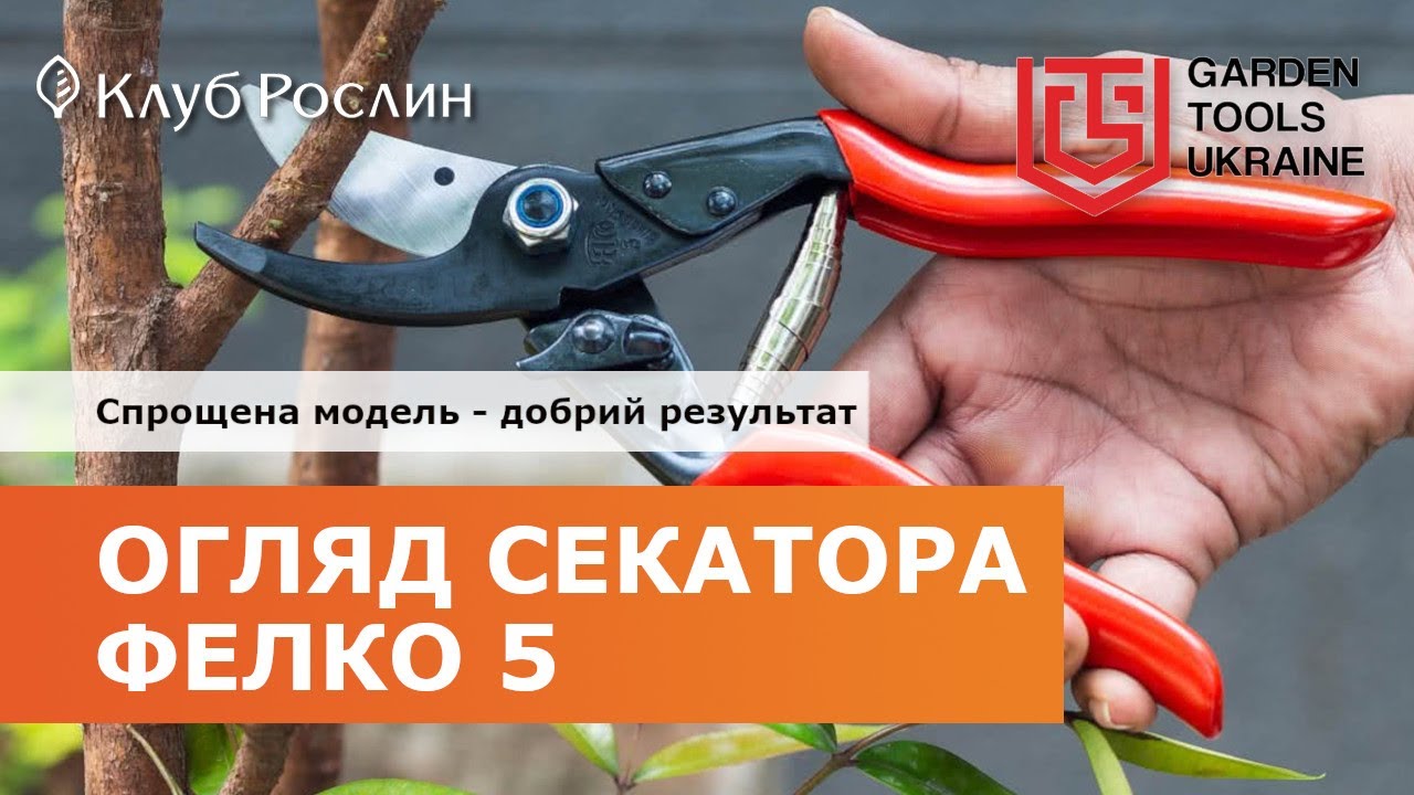 Felco 5 - упрощенная модель сучкореза - отличный результат (Швейцария)