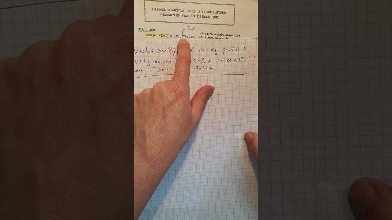 Zootech: calcul ration vache -- Théorie. Agro LaReid bac1