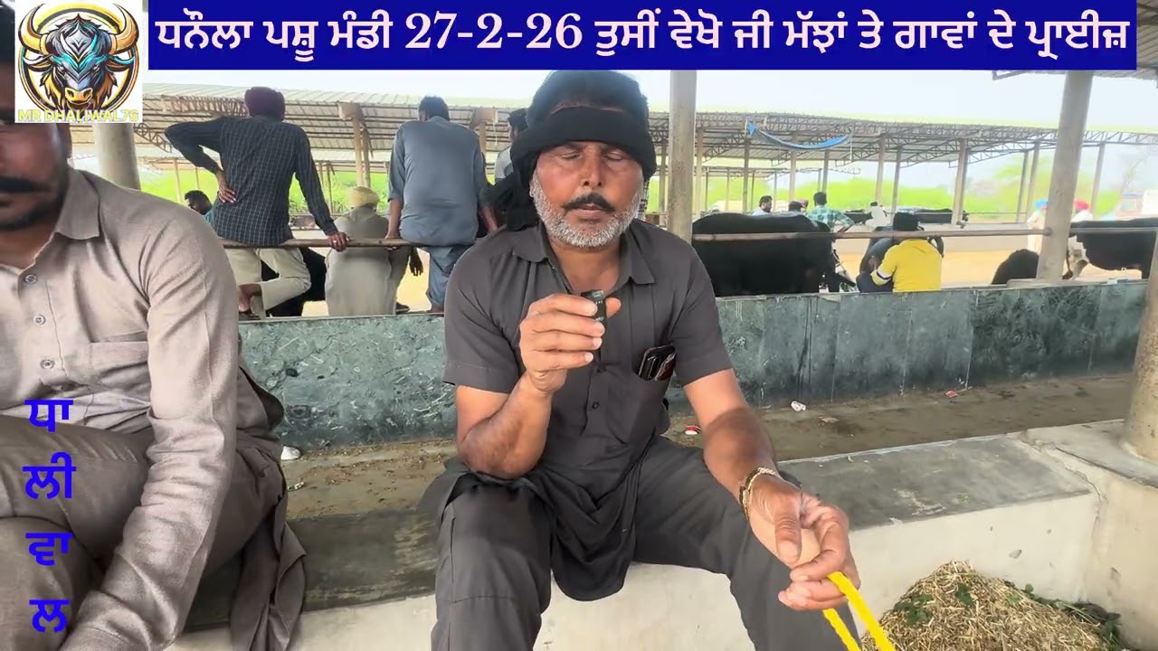 ਧਨੌਲਾ ਪਸੂ ਮੰਡੀ 27-2-26 ਦੀ ਵੀਡੀਓ ਨੂੰ ਜਰੂਰ ਵੇਖਣਾ ਜੀ ਤੇ ਨਾਲ ਸ਼ੇਅਰ ਵੀ ਕਰਨਾ Mr Dhaliwal you tube channel 