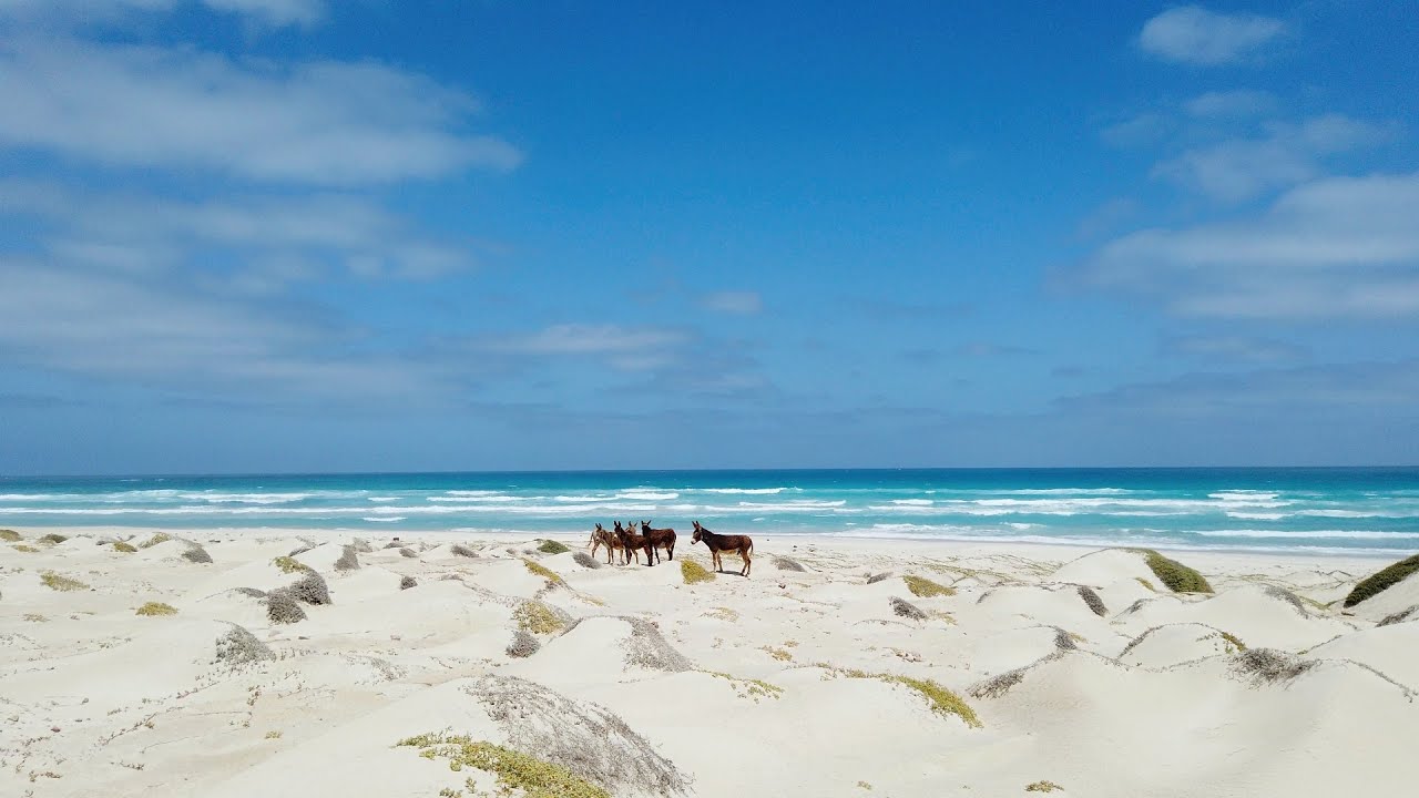 Urlaub auf Boa Vista – Entspannung und Abenteuer auf der Insel der Kapverden