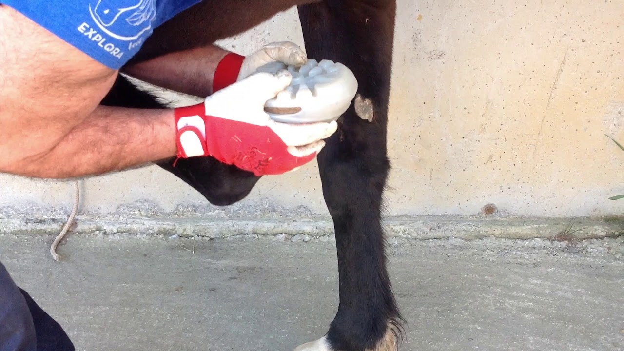 CÓMO adaptar la bota Explora Boot moldeándola con calor