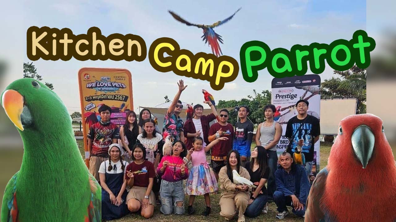 รายการ Kitchen Camp Parrot Ep.325