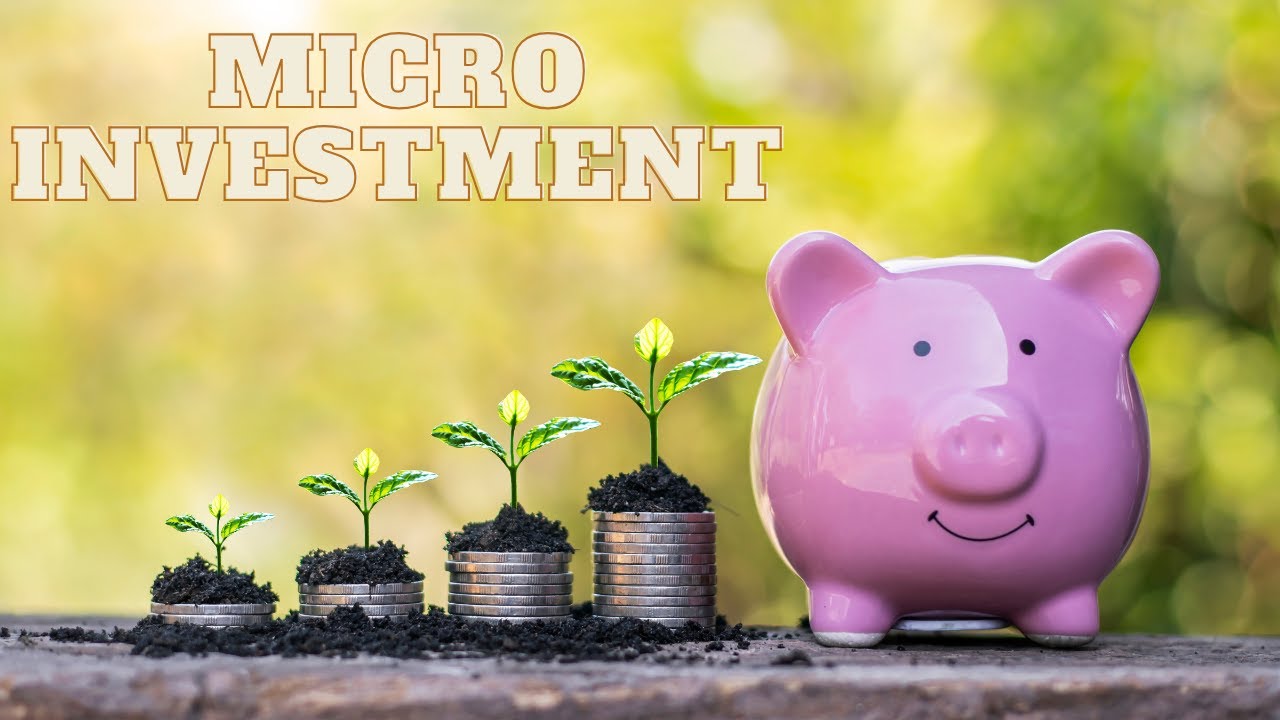 Micro Investments: Maximizing Small Money