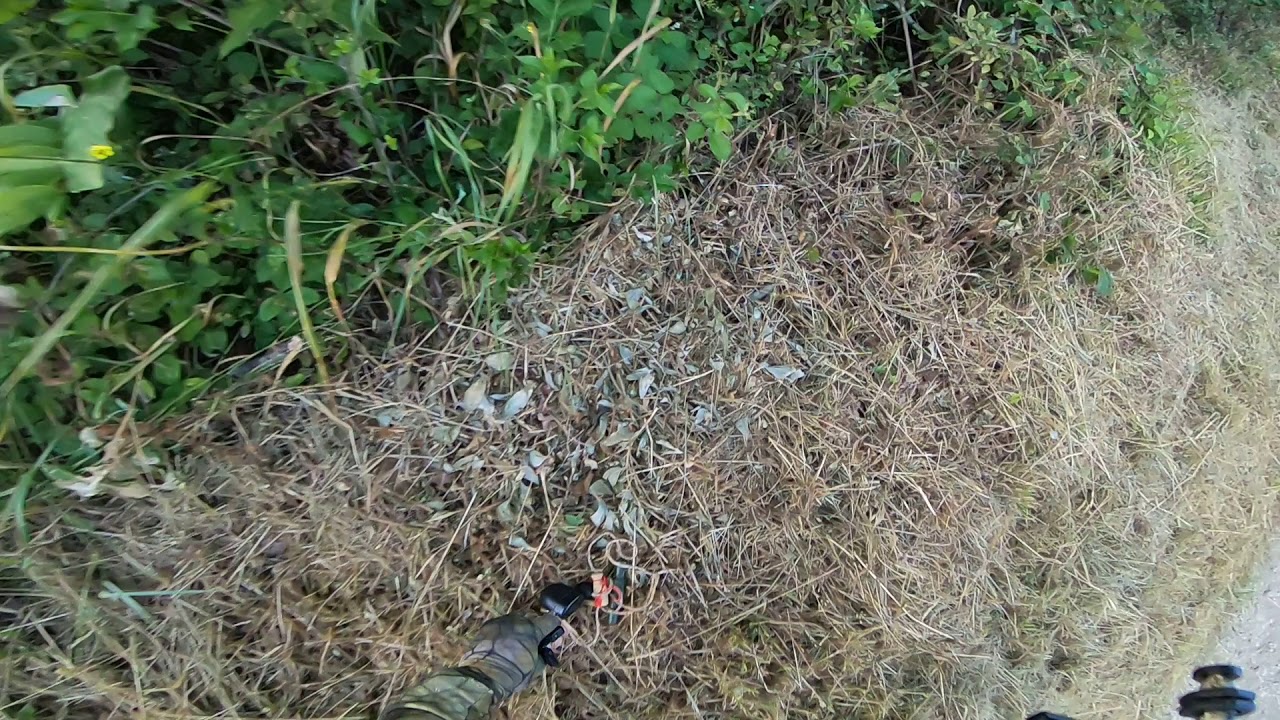 Affût de renard 30 06 2019