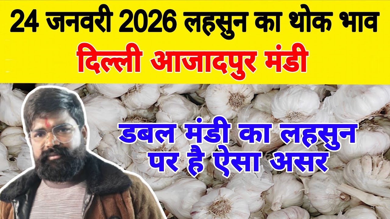 24 Jan 2026 | Today Garlic Market Price | Garlic Price The Shocking Prediction #mandirates #garlic