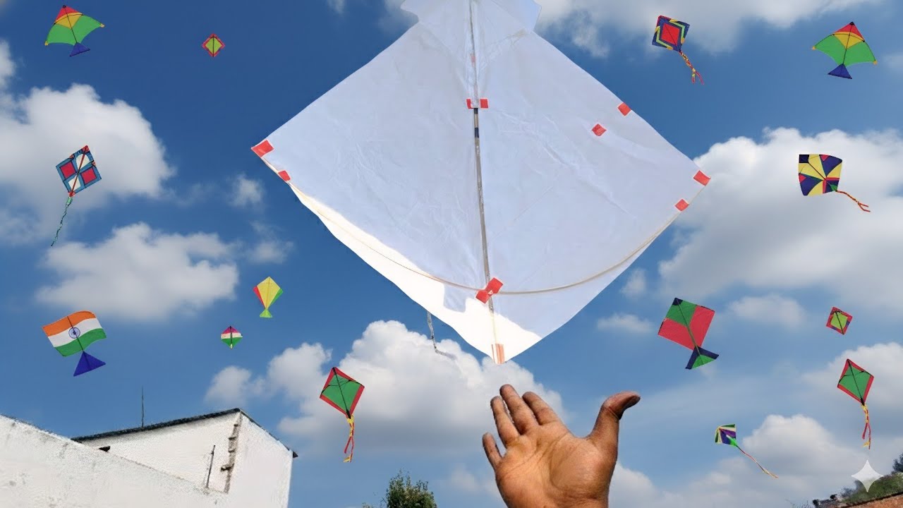 Patang looting video | kite flying |kite video |kite looting |kite fighting |