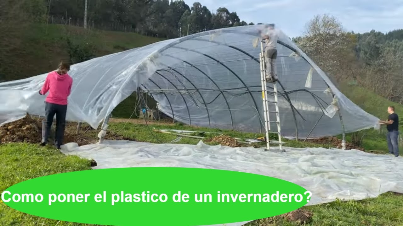 Como poner el plastico de un invernadero❓Como colocar la malla antitrips en las medialunas?