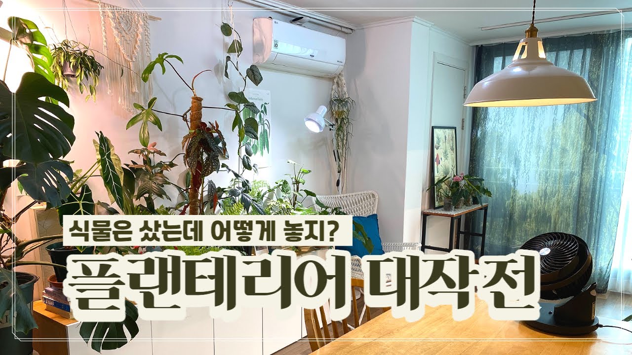 식물과 함께하는 공간의 한 끗 차이, 인테리어 꿀팁을 활용한 플랜테리어