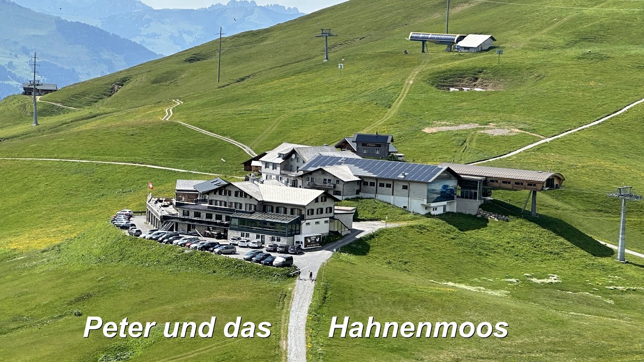 Peter und das Hahnenmoos