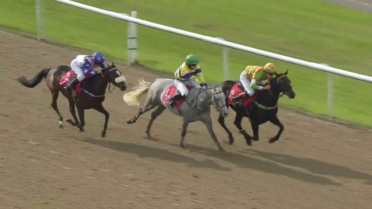 138cm & under Dragon (TV & Film) Studios Racecourse Series Final - 2024