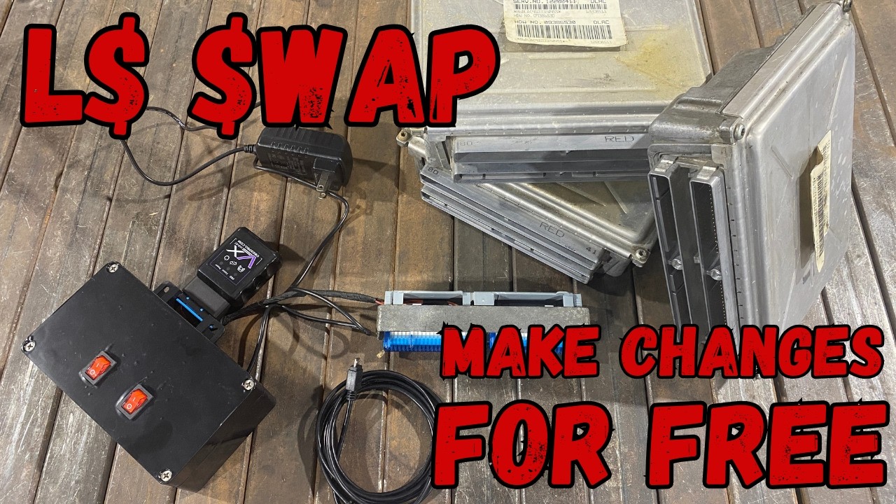 LS Benchtop Wiring Harness LS Swap Engine Management Systems DIY VATS Removal