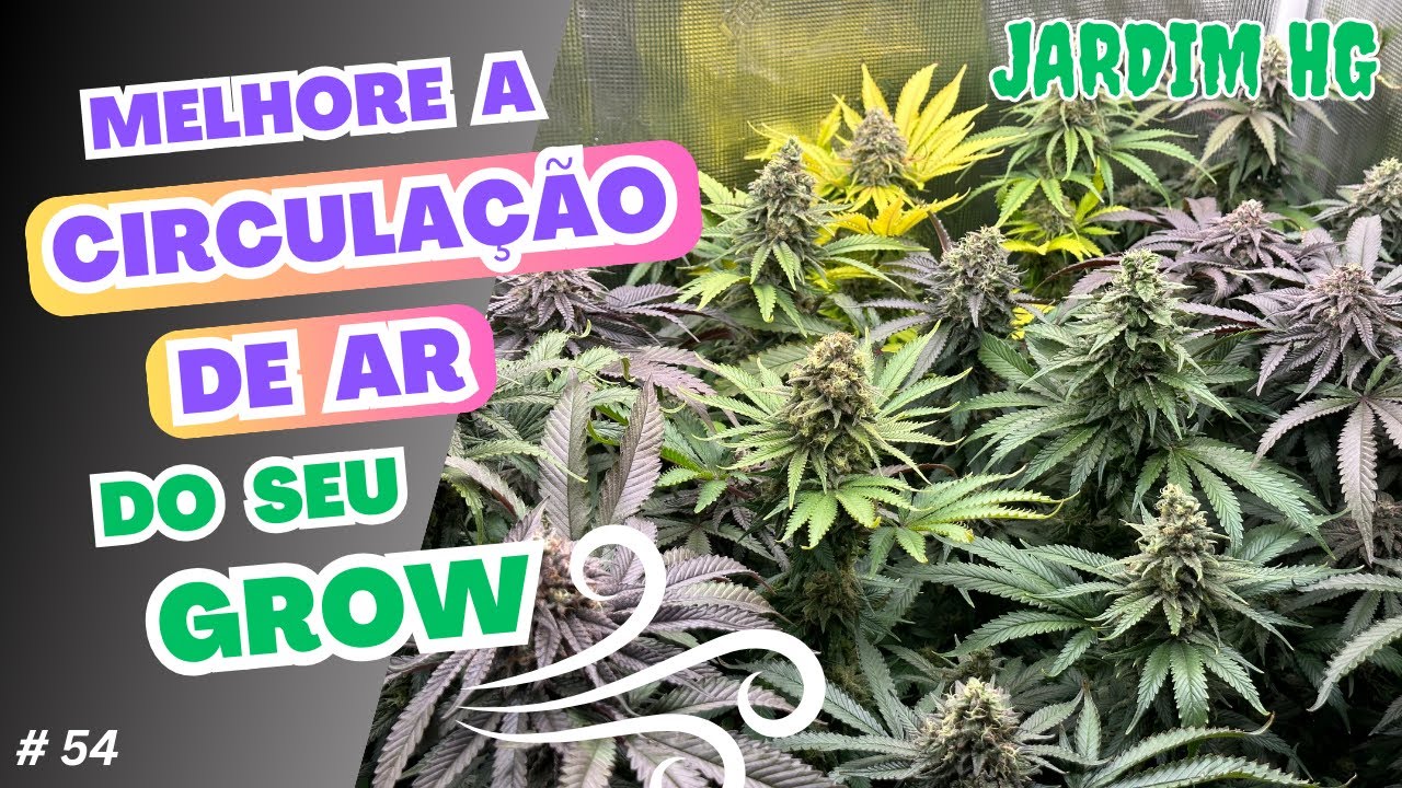 Ventila&ccedil;&atilde;o e circula&ccedil;&atilde;o de ar no GROW de CANNABIS Sativa