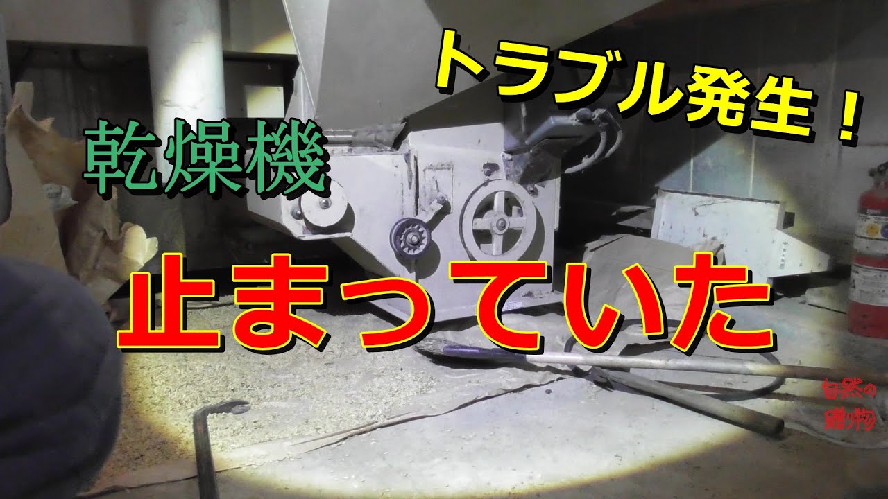 【乾燥機】乾燥機トラブル　金子農機　REC XL350