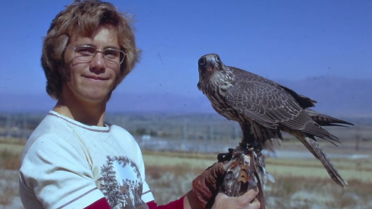 Falconry: The legend of BBG