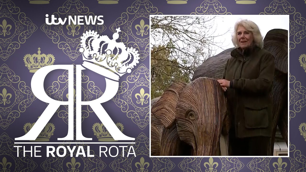 The Royal Rota: Camilla's elephant project in memory of her brother | ITV News