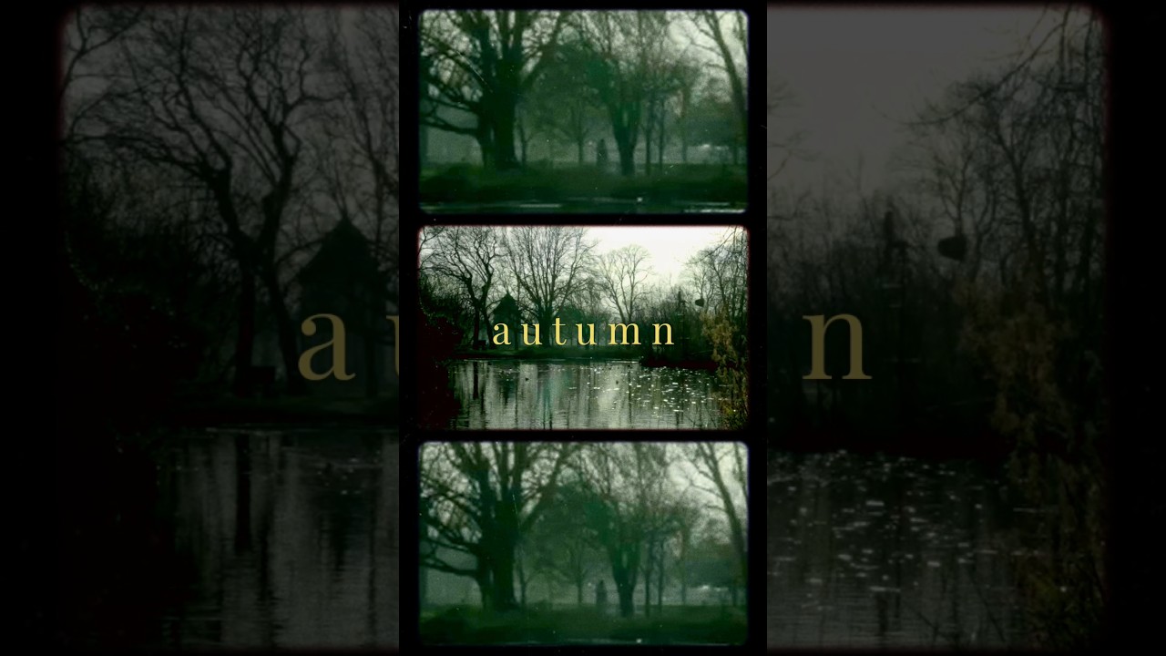 Moody autumn vibes