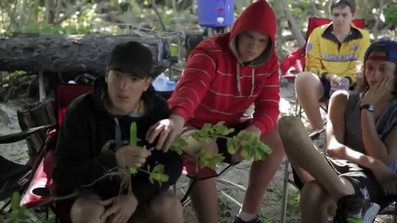 Mackay Marine Classroom \\ Wild Mob