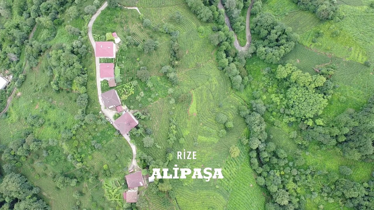 ALİPAŞA - RİZE