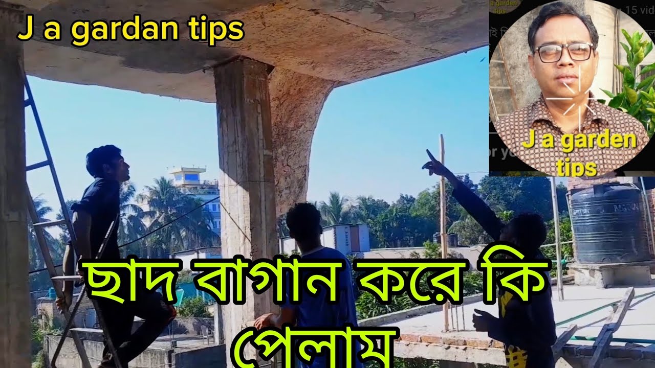 ছাদ বাগান করে কি পেলাম। J a Garden tips.