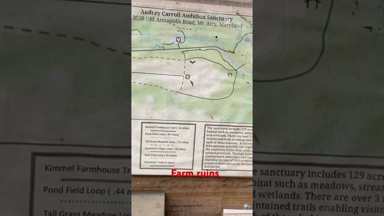 Развалины фермы в заповеднике Одри Кэрролл Одюбон — полное видео в комментариях @dayhikingandherp...