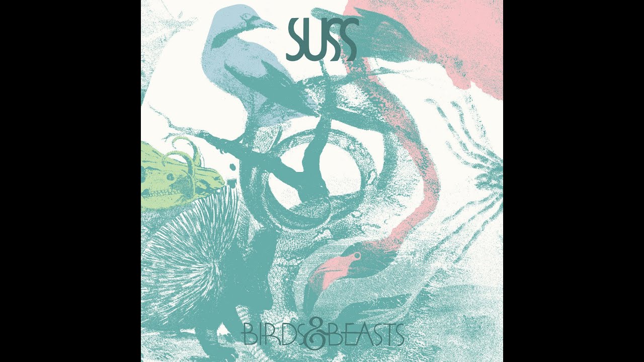 Tip of the Day: SUSS - Birds & Beasts (Northern Spy)