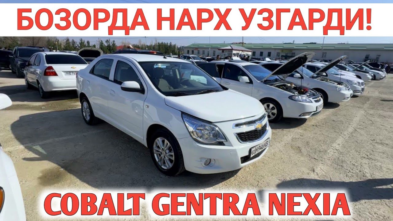 8-MART GENTRA COBALT LACETTI NARXI TUSHGAN‼️SAMARKAND MOSHINA BOZORI САМАРКАНД МОШИНА БОЗОРИ