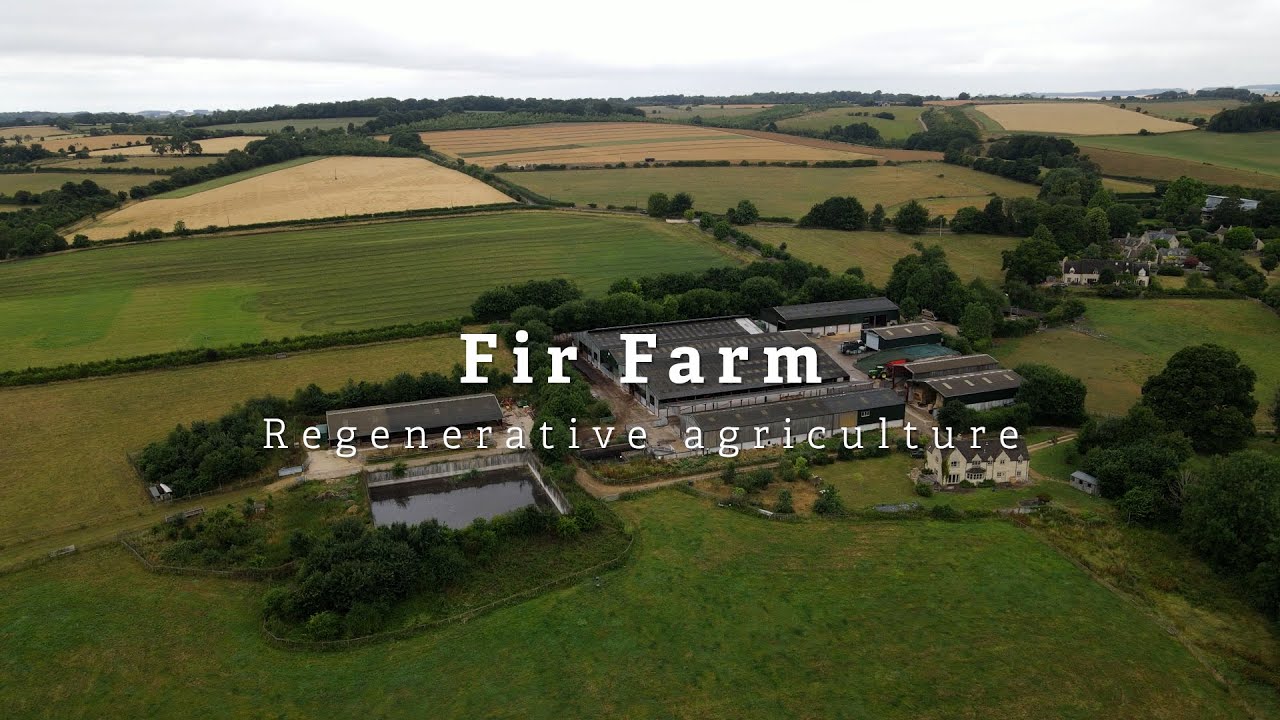 Fir Farm: Регенеративное сельское хозяйство