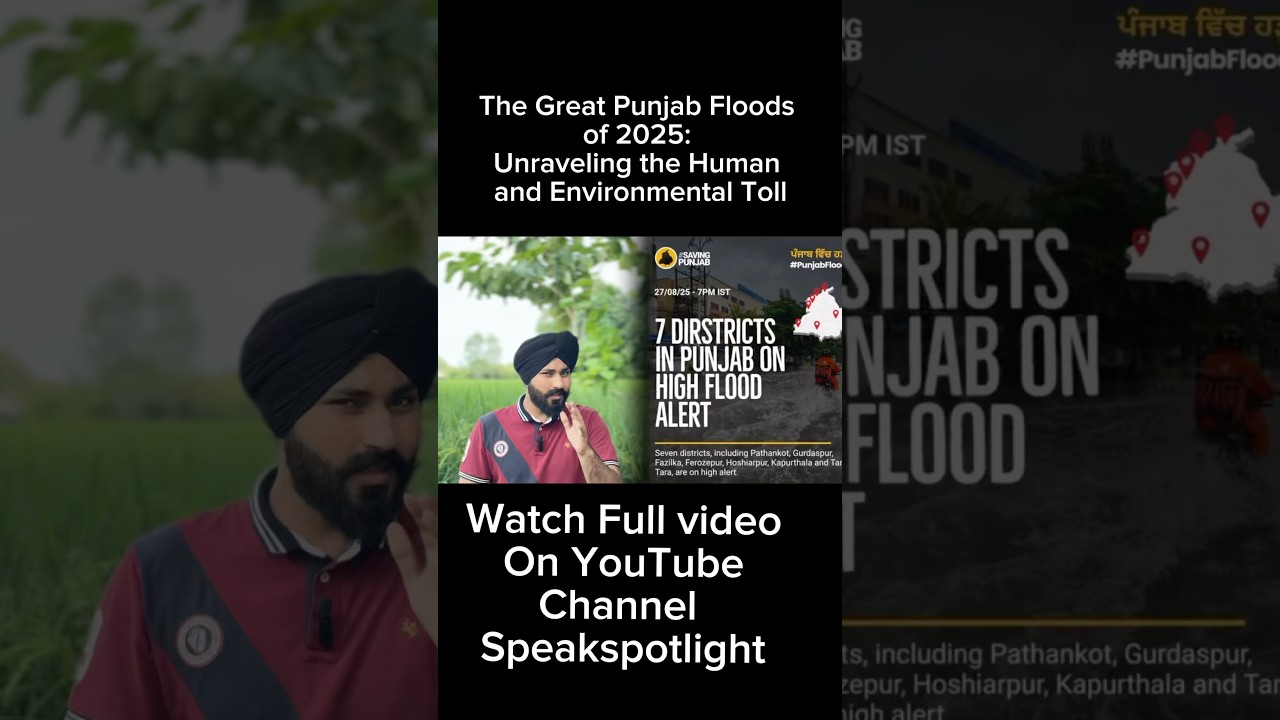 The Great Punjab Floods of 2025: Unraveling the Human and Environmental Toll