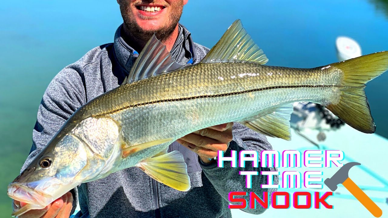 EPIC Snook Fishing in Islamorada | Florida Keys | Everglades National Park | UCF ALUM