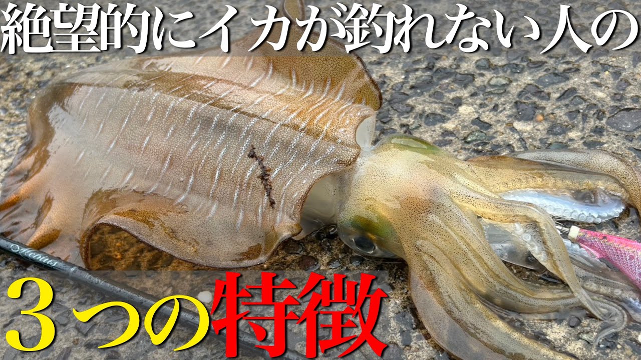 【エギング】知らないうちに損してる？釣れない人の残念すぎる特徴3選
