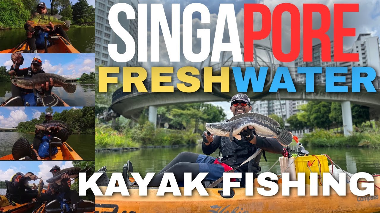 SINGAPORE First Freshwater Kayak Fishing 2024?!! | PEACOCK BASS & GIANT SNAKEHEAD LANDED!