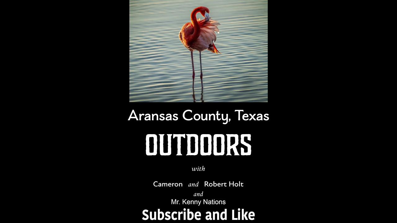 Into The Wild of Aransas County, TX