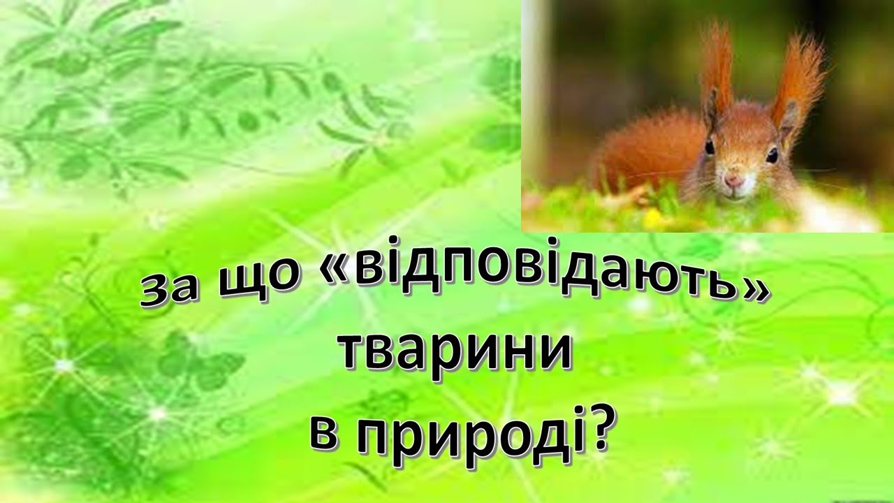 Урок 76  За що відповідають тварини в природі? Я досліджую світ 3 клас.