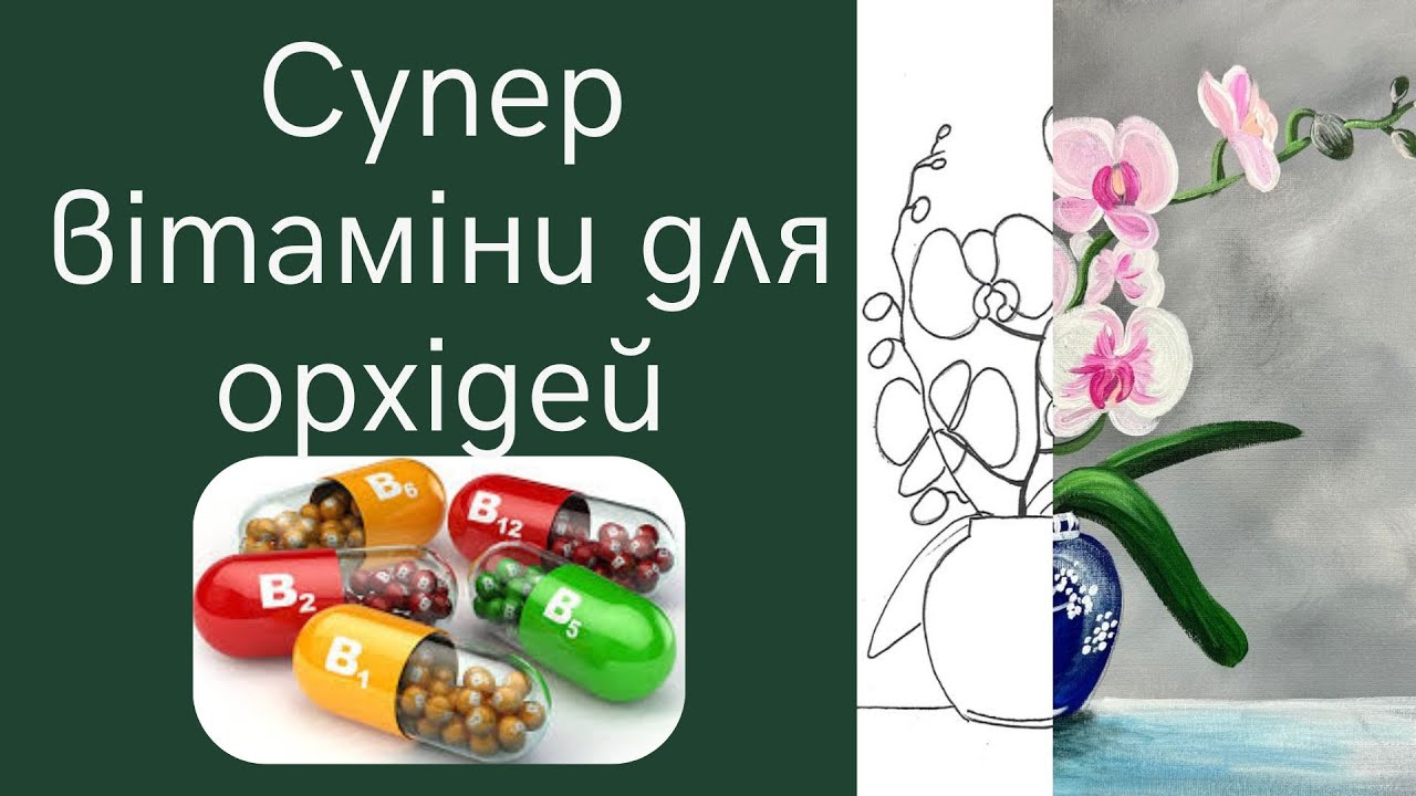 Чудодійний коктейль для орхідей. Битва субстратів