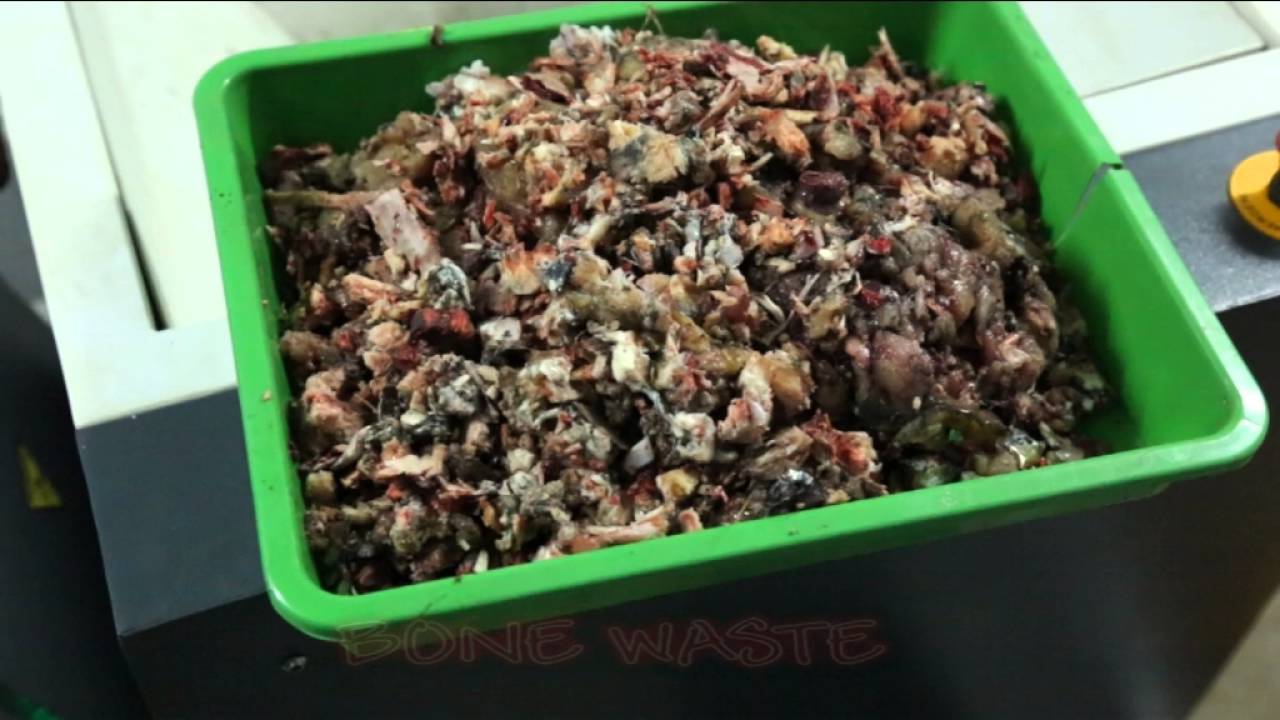 Chicken bone Shredder, Chicken Waste Shredder, Meat Shredder, Bone Shredder, Shredding Bone waste,