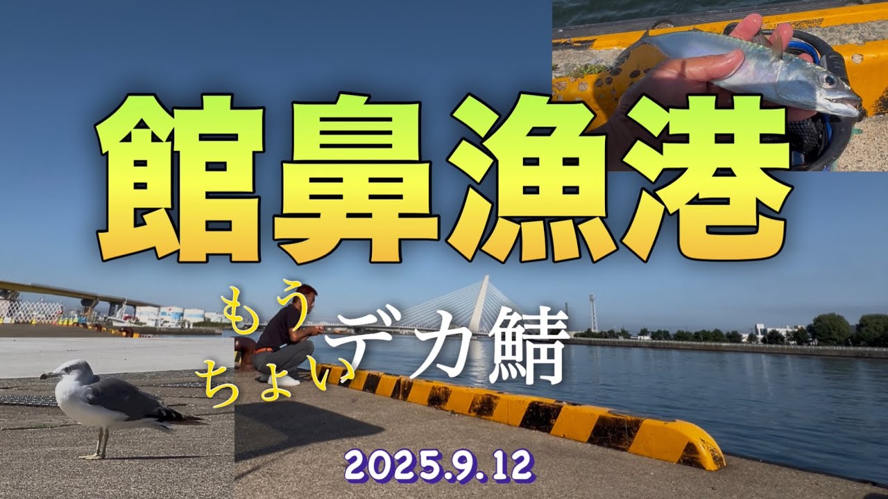 青森県八戸市館鼻漁港の釣り🎣デカ鯖まであとちょっと。かな？