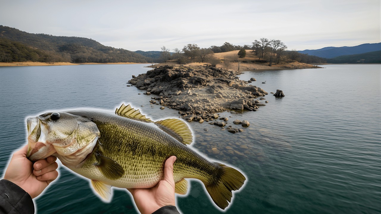 February Speed Secret for Reaction Bites: Why Burning a THESE Baits Are Triggering Giants Right Now
