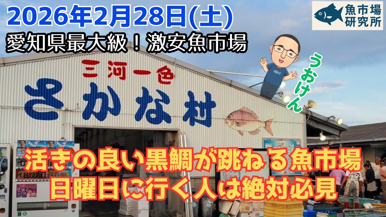 【激安狙い目】黒鯛もタラバガニも半額!?『一色さかな村』腹パン確定