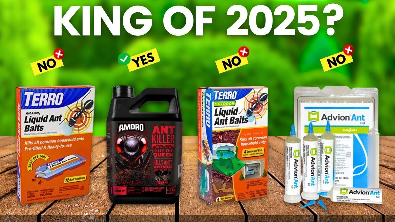 🐜 Top 6 Best Ant Killers of 2026 &ndash; Ultimate Guide to Indoor & Outdoor Pest Control