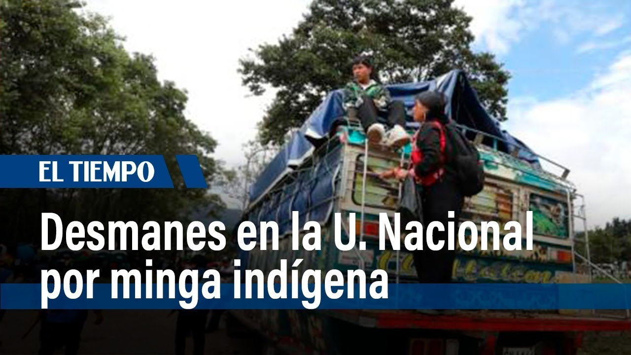 Desmanes por minga indígena: atacaron bus y robaron gasolina a motos | El Tiempo