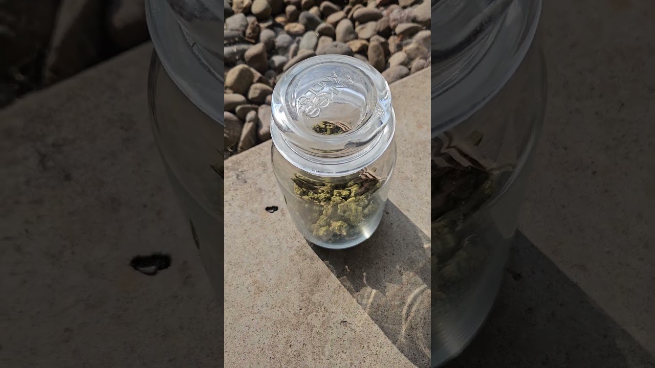 hectane ounce review (my favorite so far)