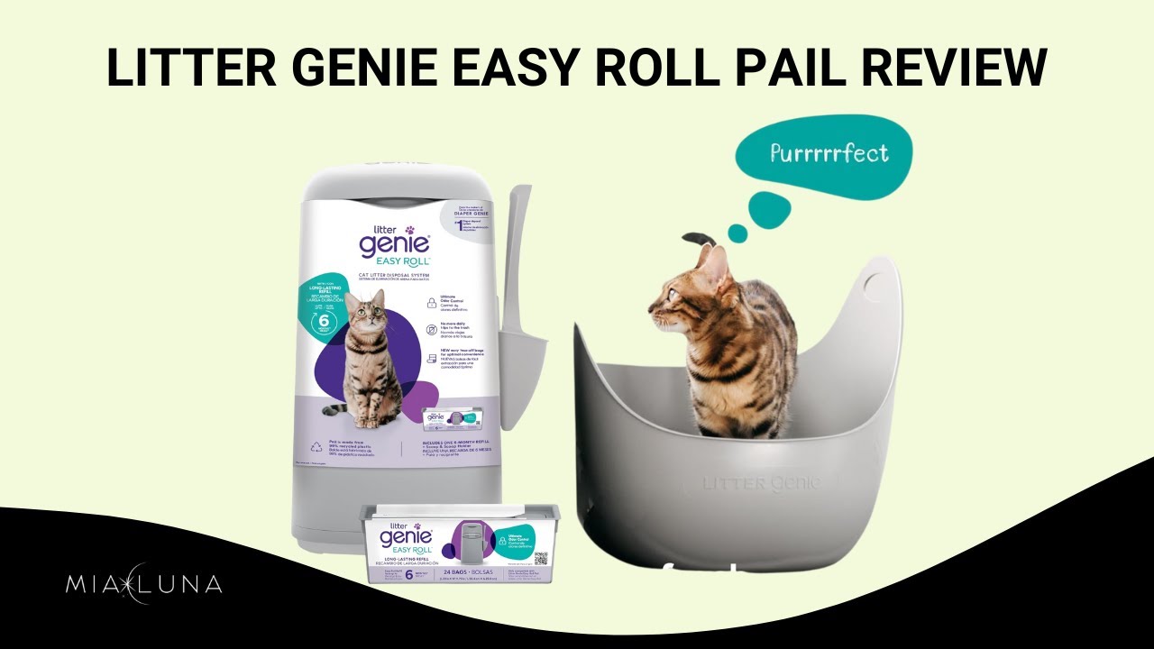 Don’t Buy Another Litter Disposal System Until You See This Litter Genie Easy Roll Pail Review