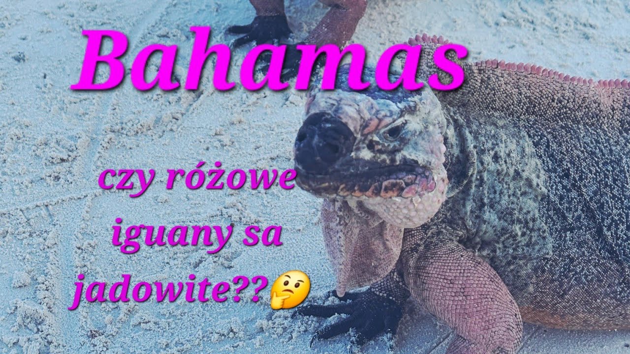 S2Ep15.Dramatyczna walka o kotwice, Żegnamy George Town, witamy Różowe Iguany 